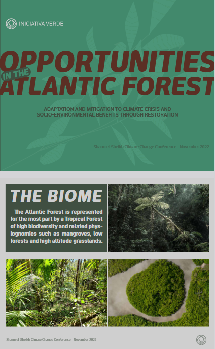 Opportunities in the Atlantic Forest 
