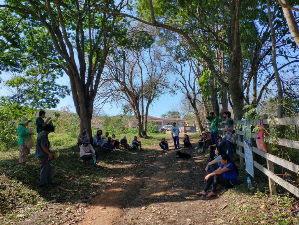 Coleta e produção de sementes: Partilha e troca de saberes